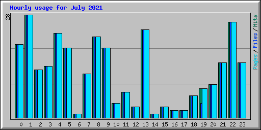 Hourly usage for July 2021